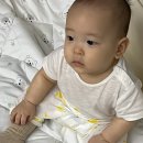 상화원 한국빌라 이미지