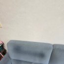 생활과환경 | 파주시 운정동 소파청소 생활얼룩 제거 후기｜제일홈케어 친환경 소파청소