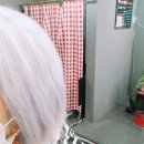 화이트럭스헤어 이미지