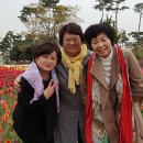 문암목장 티스토리