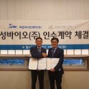 해성IT 이미지