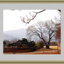 낙안풍경 이미지