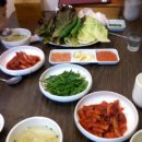 장춘주유소 Daum카페