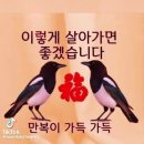 2024년 꿈이야기ㅡ 부자 되는꿈 해몽 10가지ㅡ 돼지를 잡거나 가져오는 꿈ㅡ 똥[糞]과 관계된 꿈ㅡ 돌아가신 부모님이나 조상이 이미지