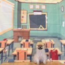 할리우독 이미지