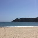 일산해수욕장 이미지
