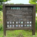 제주도 숲길 산책 코스 유모차 가능한 한라생태숲