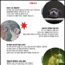 가족무용극 고블린파티 네이버블로그