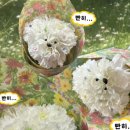 베이그
