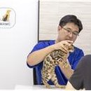 강남애니동물병원 이미지