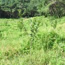 가재골농장 이미지