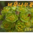 솔향원 이미지