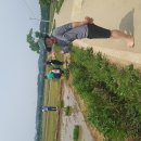 평촌목장 이미지