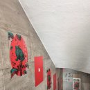 다오2 | [방탈출] 🚪홍대 토끼굴ㅣ두껍아 두껍아 헌집줄게 새집다오 2인 탈출 후기 🐸🏠