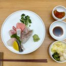 배배게스트하우스 | 제주 2일차 여행코스 | 오후의 제주를 마시다