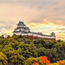 251024 해외여행 출발전 안내 [오사카/와카야마/교토/아라시야마 일본/제주항공 인천공항] 이미지