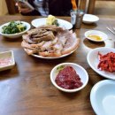 고성막국수 이미지