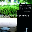 ＜261＞8월22일＜토요일＞ '조선왕실의 숲' 강원도 원주 치악산 '황장목 숲길' 이미지