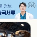 호랑이 동물병원 이미지