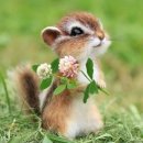 럭키공인중개사 이미지