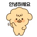 요거넛넘버나인 이미지