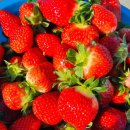 우두농장 이미지