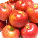 (주)청보 이미지