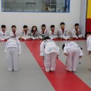 경희대 에이스 태권도 이미지