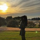 파인골프 | 겨울골프여행 해남 파인비치cc골프텔 리조트 후기