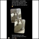 보조기나라 | 강아지 뒷발목 꺾임 증상, 발목 과신전 보조기 착용 사례와 후기