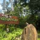 비치빌 | [발리 숙소 추천] 더 멘장안 바이 라이프스타일 리트리트 숙소 리뷰