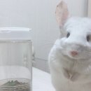 황학균동물병원 이미지