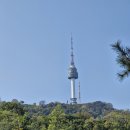 장충동족발 - 순천시 조례못등길 68 | 장충동족발
