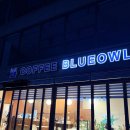 세레나데샵 | 남춘천카페 커피블루아울 | 로컬이 추천한 로스터리 커피 맛집 후기