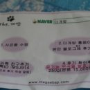[ The. 개밥 ] :: 더 개밥 유기농 무곡물 발효사료! 먹여보셨나요??