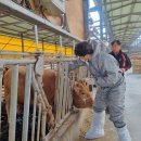 합천가축병원 이미지