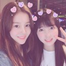 아이즈원 최예나 권은비 생일카페 후기+흔한 앚덕일기