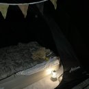 장호비치캠핑장 이미지