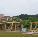 원두막 Daum카페