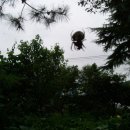 석산농장 이미지