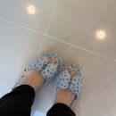 은월초등학교 | 울산 북구 에스테틱 피부관리 라임에스테틱