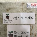 [부산 남포 식물가게] 테라리움 원데이클래스, 쏘슬로우 플랜트랩 솔직후기