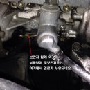 제일부란자 이미지