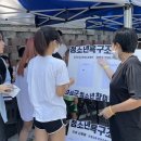 쇼 보성 이미지