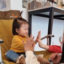 멍멍아 준비땅 이미지