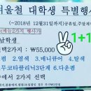 리안여행사