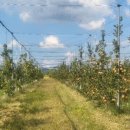 달님농장 이미지