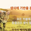 한국네이처스버라이어티(주) 이미지