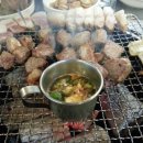 솔낭구 이미지