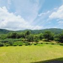 폴라로이드펜션 이미지